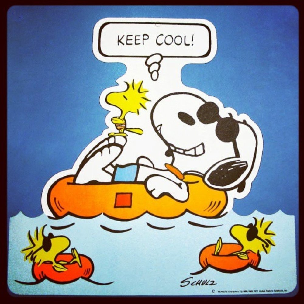 Meet your Posher, Shopping